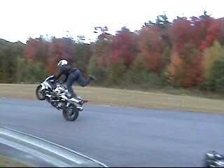 Name:  squid.jpg
Views: 9
Size:  7.0 KB