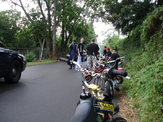 Name:  cops2.jpg
Views: 12
Size:  91.9 KB