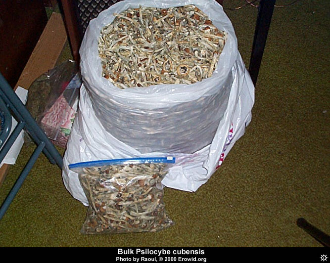 Name:  28393.jpg
Views: 8
Size:  106.4 KB