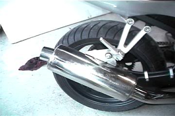 Name:  newstunt003.jpg
Views: 9
Size:  14.8 KB