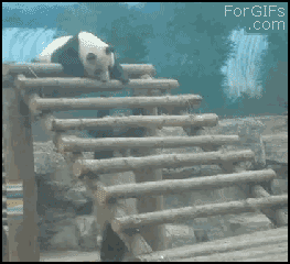 Name:  rnqpP.gif
Views: 7
Size:  503.4 KB