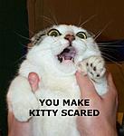 Click image for larger version

Name:	scaredkitty666.jpg
Views:	82
Size:	27.2 KB
ID:	37485
