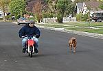 Click image for larger version

Name:	dogcycle1.jpg
Views:	108
Size:	38.1 KB
ID:	4338
