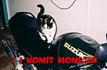 Click image for larger version

Name:	kittybike.jpg
Views:	32
Size:	22.2 KB
ID:	45948
