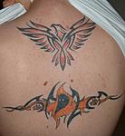 Click image for larger version

Name:	my back.jpg
Views:	211
Size:	37.0 KB
ID:	53623
