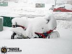 Click image for larger version

Name:	frosted bike.jpg
Views:	261
Size:	26.8 KB
ID:	55612