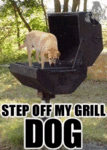Click image for larger version

Name:	grilldog.gif
Views:	209
Size:	42.4 KB
ID:	5973