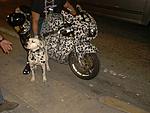 Click image for larger version

Name:	dalmation%20and%20bike.jpg
Views:	1222
Size:	76.3 KB
ID:	91342