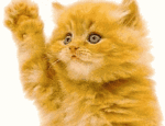 Click image for larger version

Name:	cat waving.gif
Views:	31
Size:	40.7 KB
ID:	91582