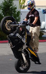 bass_turd's Avatar