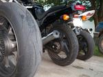 Mustangzx6r's Avatar
