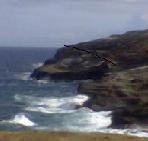 notcowbikemike's Avatar