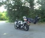 yellowjacket's Avatar