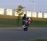 HONDAS_ELUSIVE's Avatar