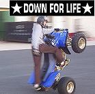 xgetbruisedx's Avatar