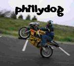 phillydogmn's Avatar