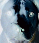 rui929cracka's Avatar