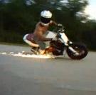 Trickhornet's Avatar