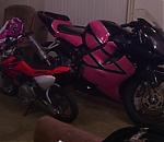 R6stuntgirlR7's Avatar