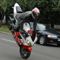 Xelas's Avatar