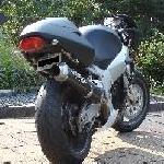 mnh's Avatar