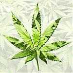 T420's Avatar