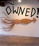 0neWheelAct|on's Avatar