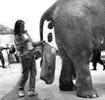 PancakePete's Avatar